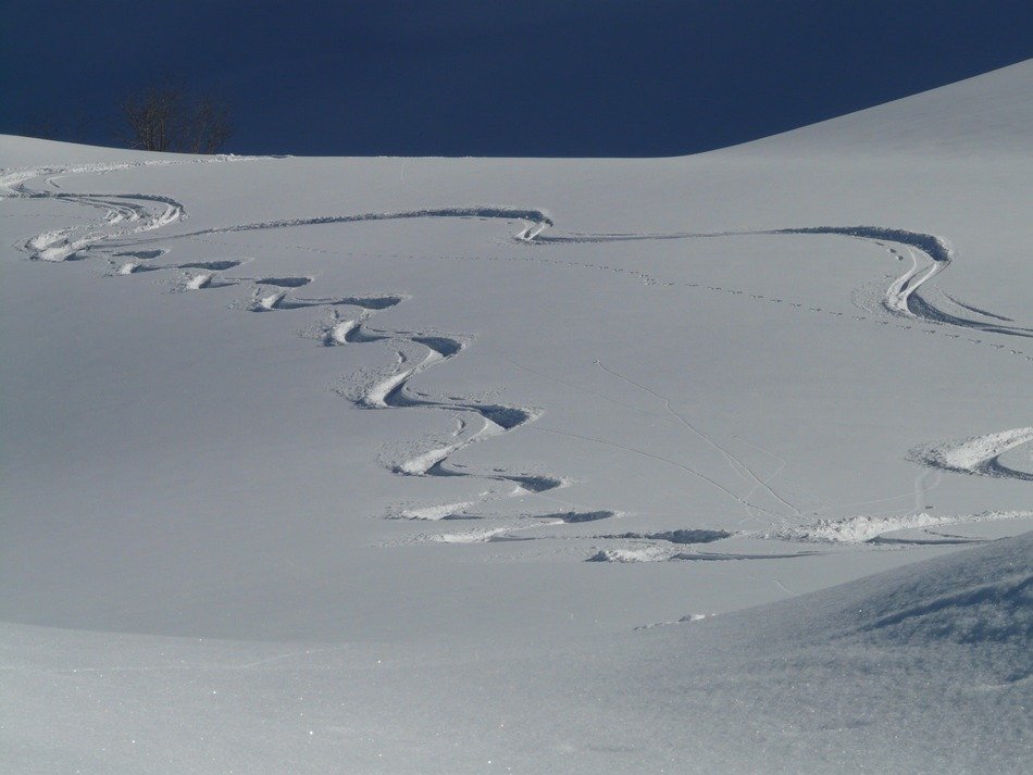 ski tracks in the deep snow