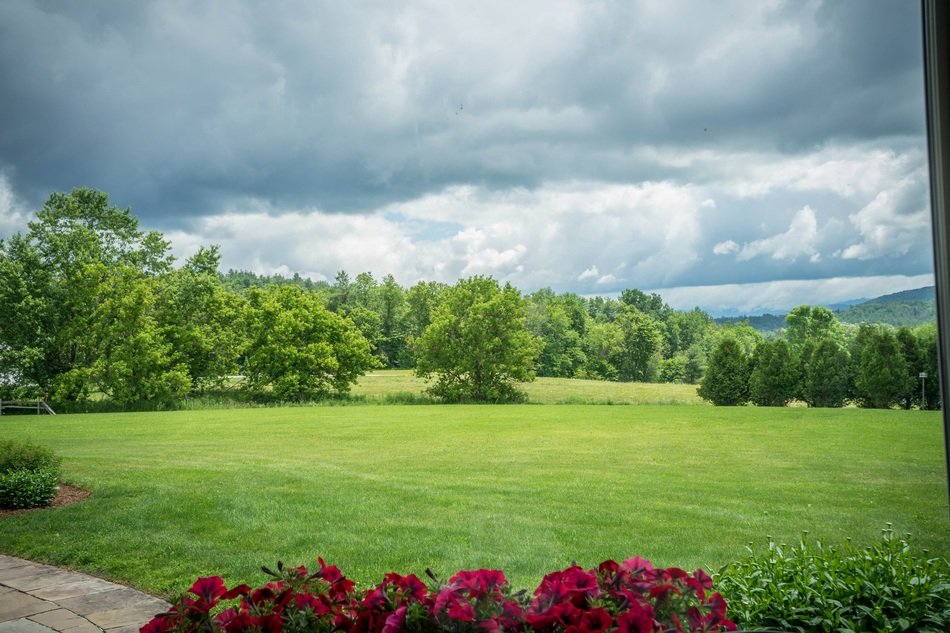 Garden on Mount Mansfield