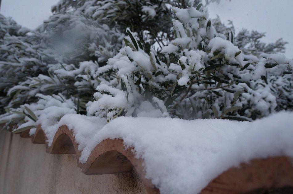 first white snow on the roof and trees