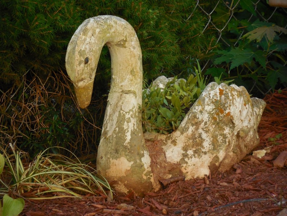 ceramic swan in the garden