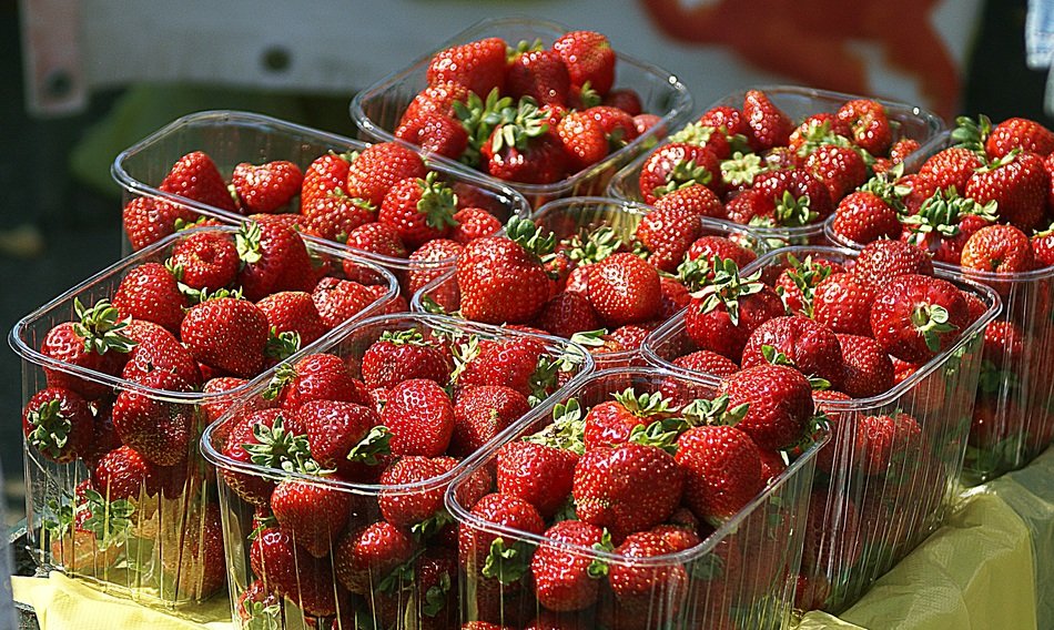 strawberries in containers at the fair