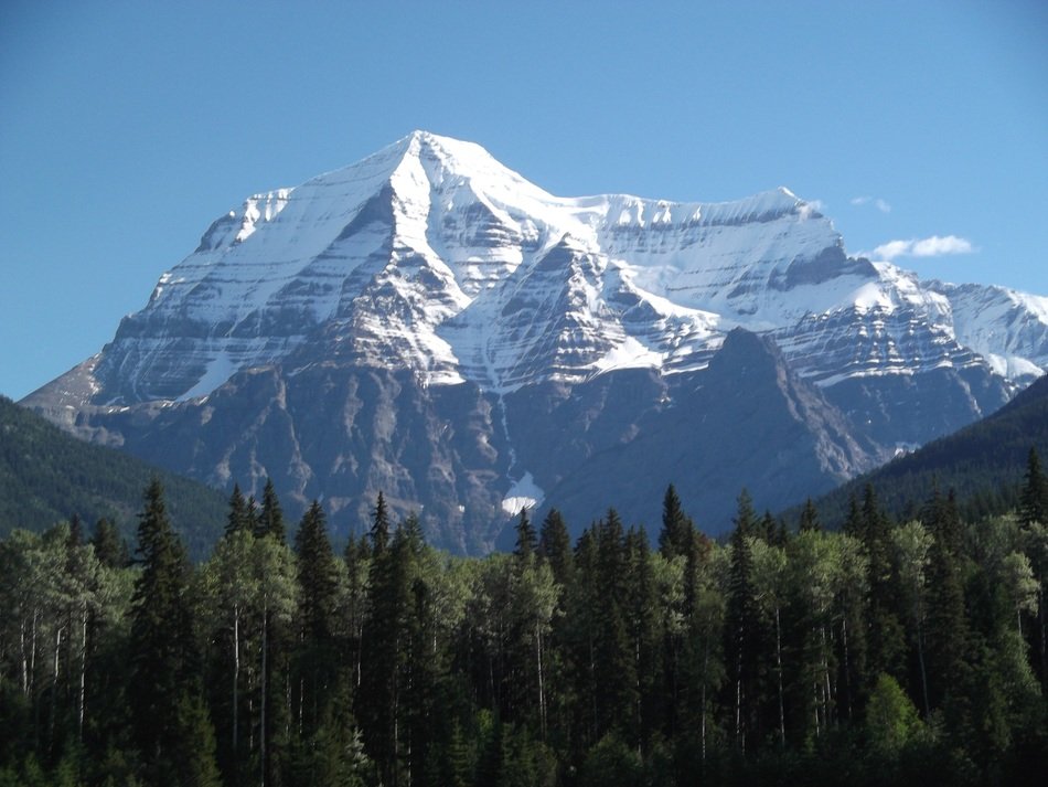 snow-capped robson mountain behind forest, canada