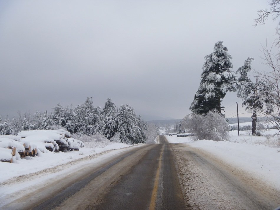 Road in Canada in winter