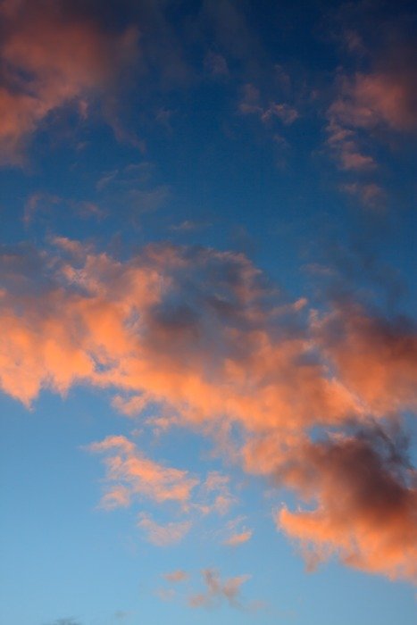 pink clouds in the evening