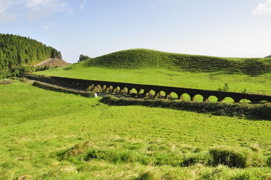 pasture on the Azores