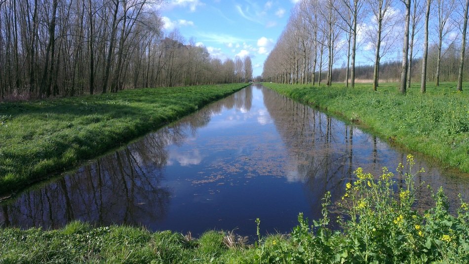 Landscape with blue water