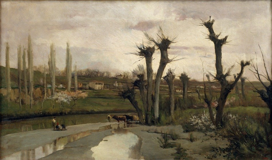 landscape of countryside