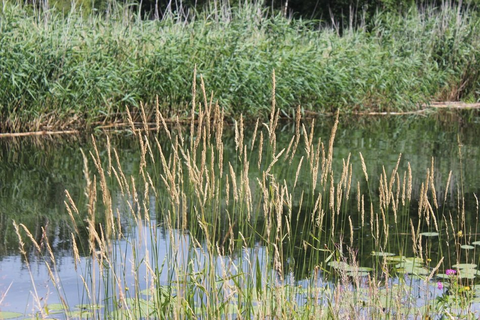 splendiferous elde müritz channel