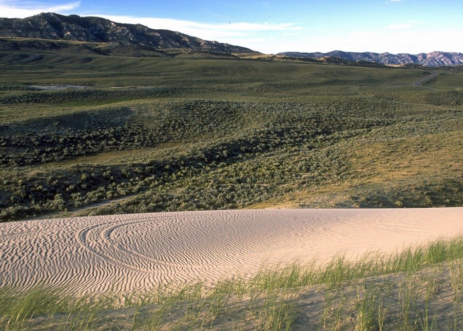 landscape of the calm countryside