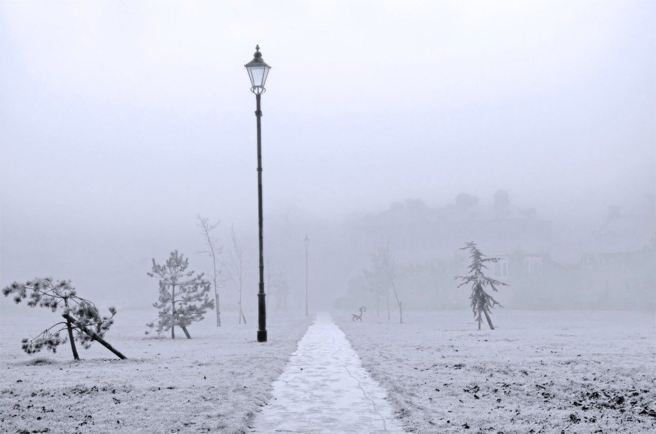 Street lamp near the path in the winter