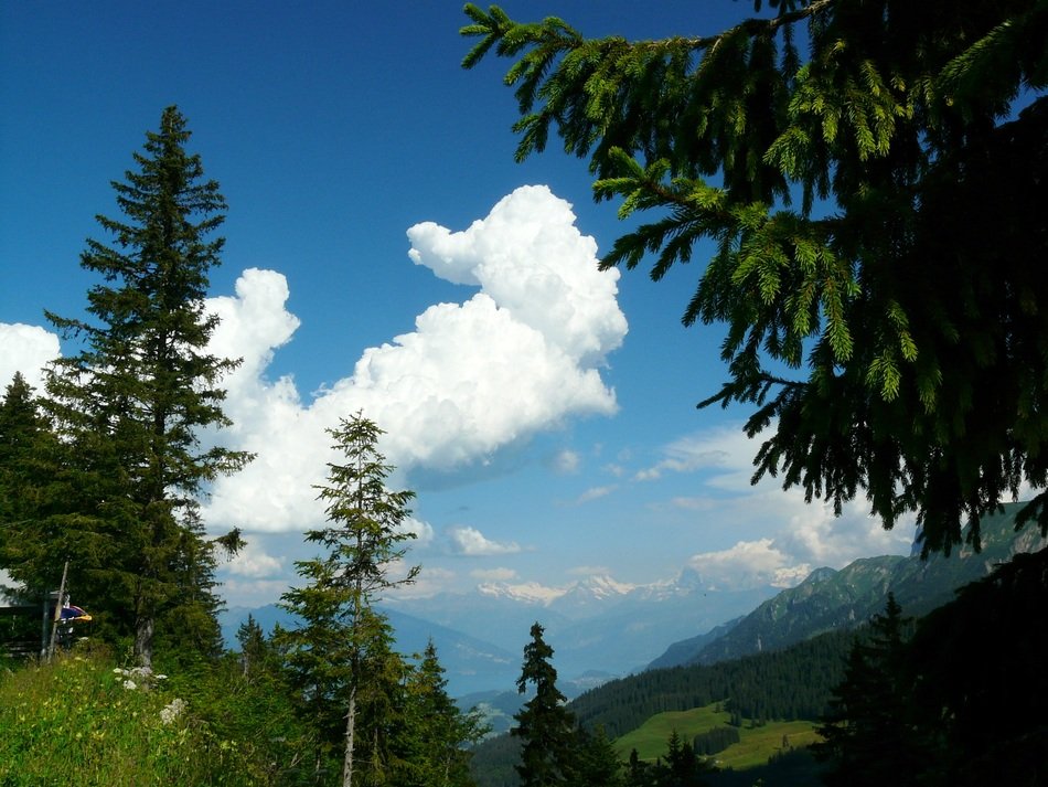 blue sky and white clouds over green Alpine mountains