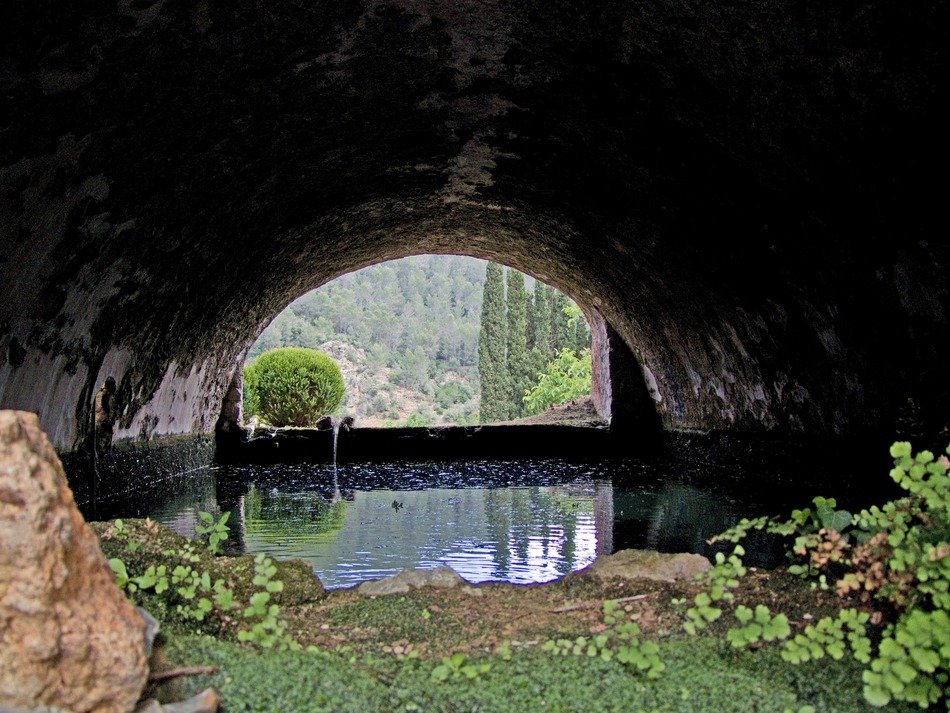 water storage in nature