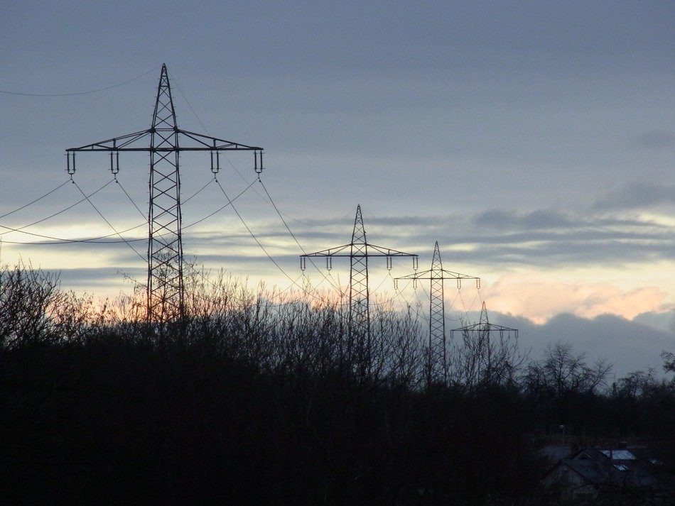 power poles over trees at dusk