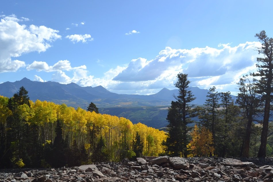 golden aspen trees on rocky mountains, usa, colorado