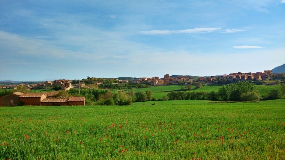 agricultural fields near of Barcelona