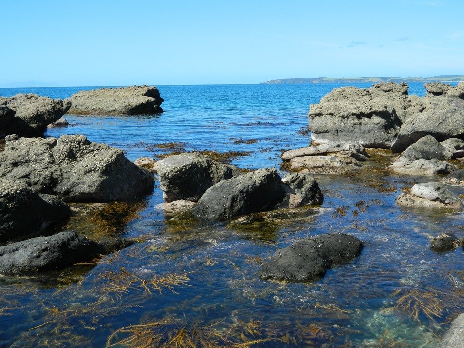 Rock pools in ocean