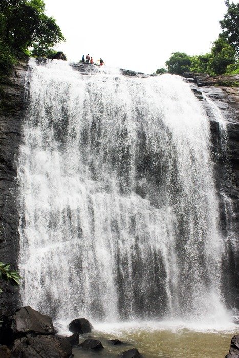 Waterfall and trees