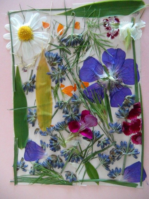 Picture of flowers art