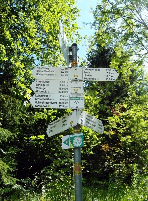 road sign in the forest