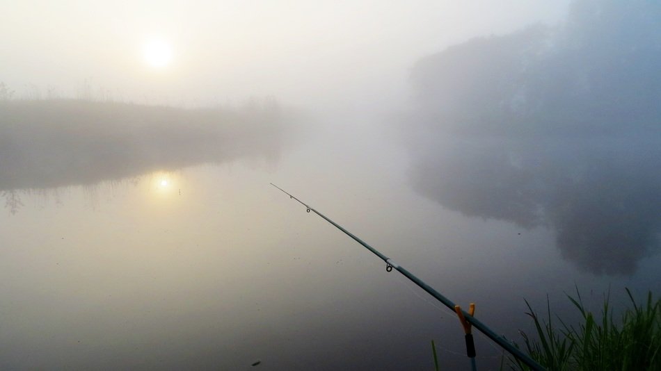 Landscape with the fishing rod near the river