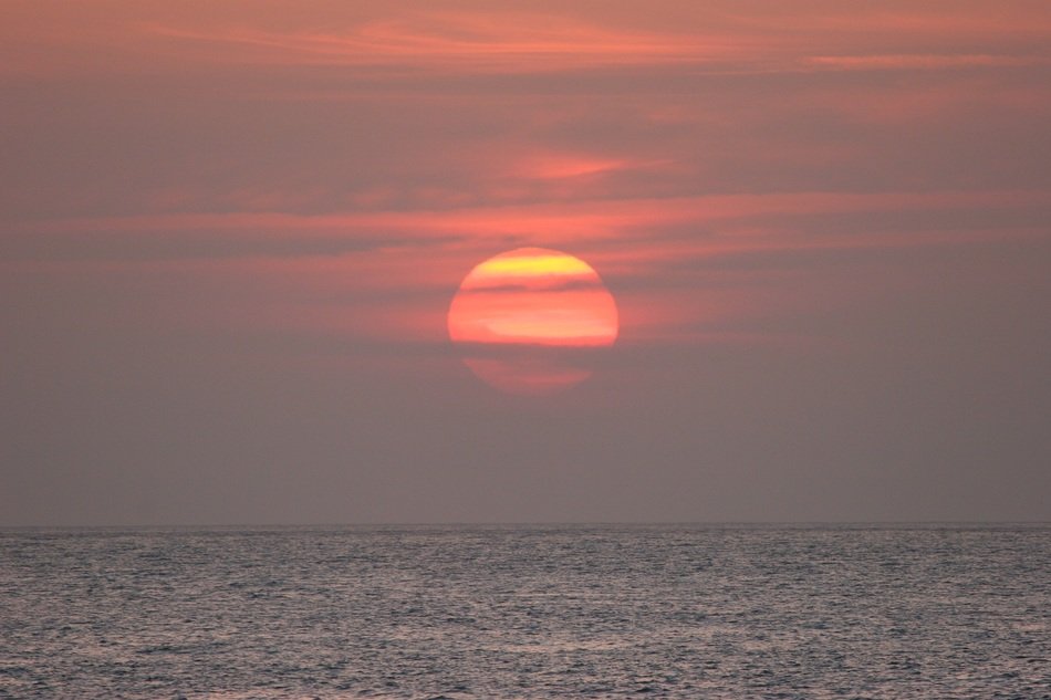 pink sun in the evening at dusk