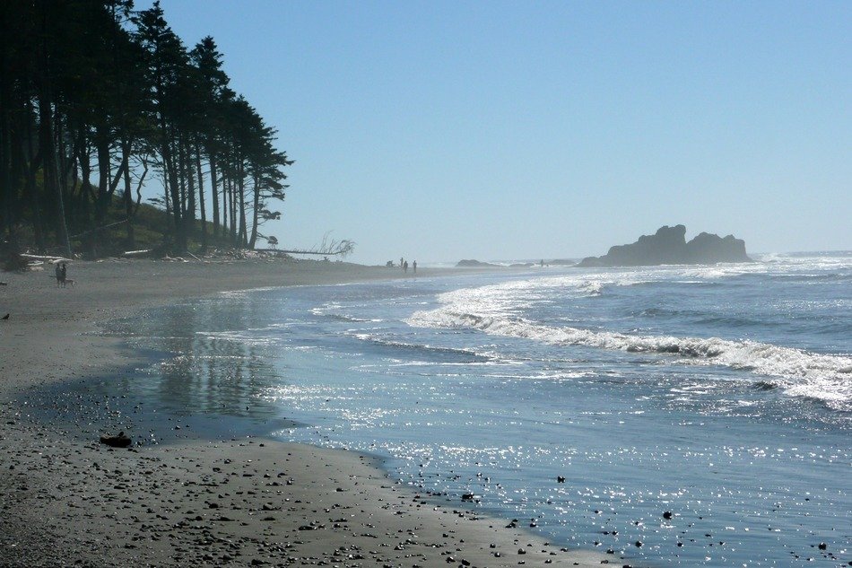 Pacific coastline in the mist in the Olympic National Park