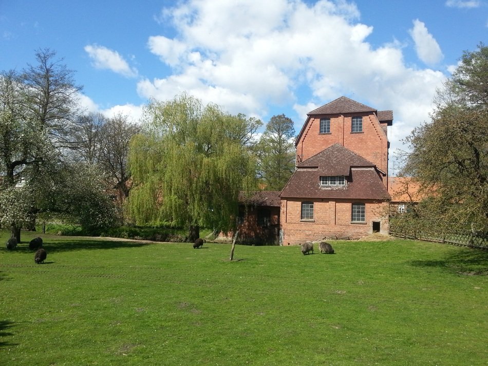 landscape of the mill on a meadow