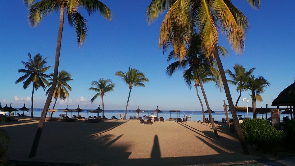 tropical beach with palm trees at evening