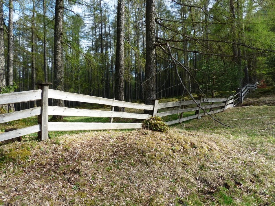 splendiferous fence