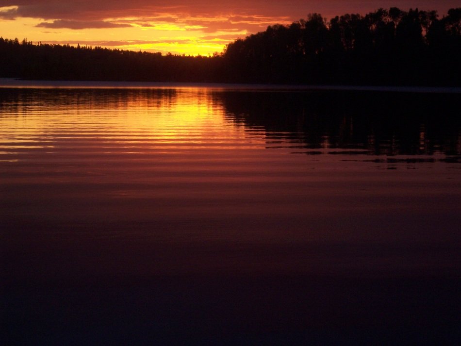 Beautiful sunset on the lake in summer at dusk