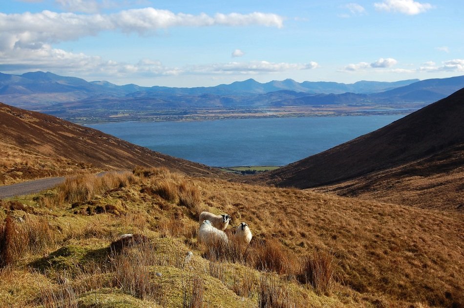 beautiful and delightful bay landscape