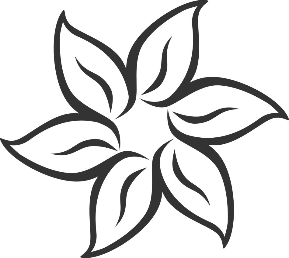 symmetric flower drawing