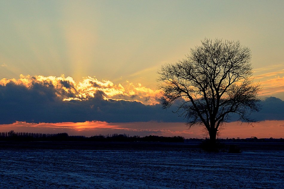 beautiful and delightful evening landscape