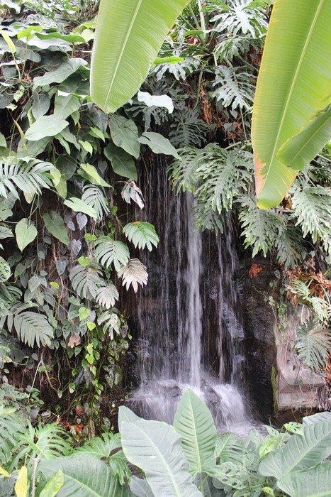 waterfall tropics