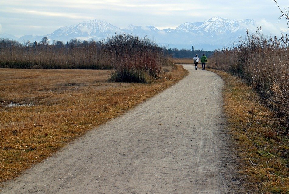 People are walking on the lane
