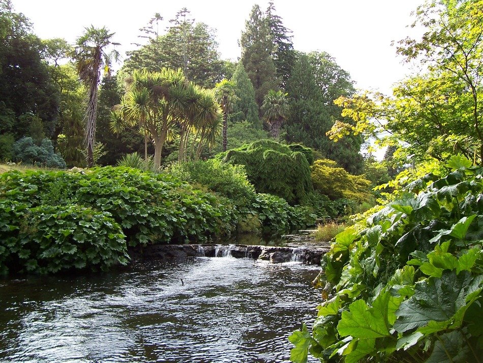 county wicklow summer river bank