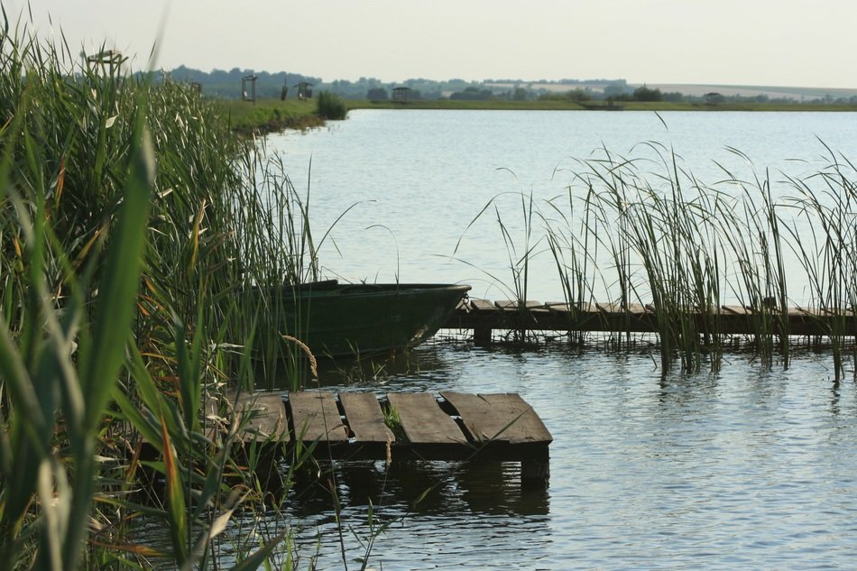 wooden masonry by the lake