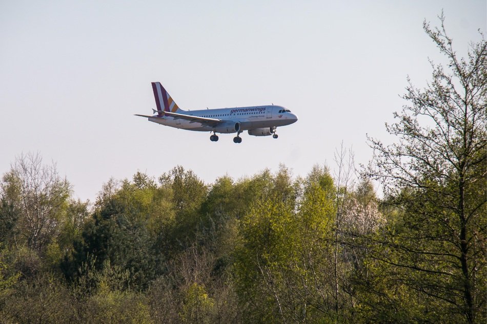 aircraft flyin above the forest