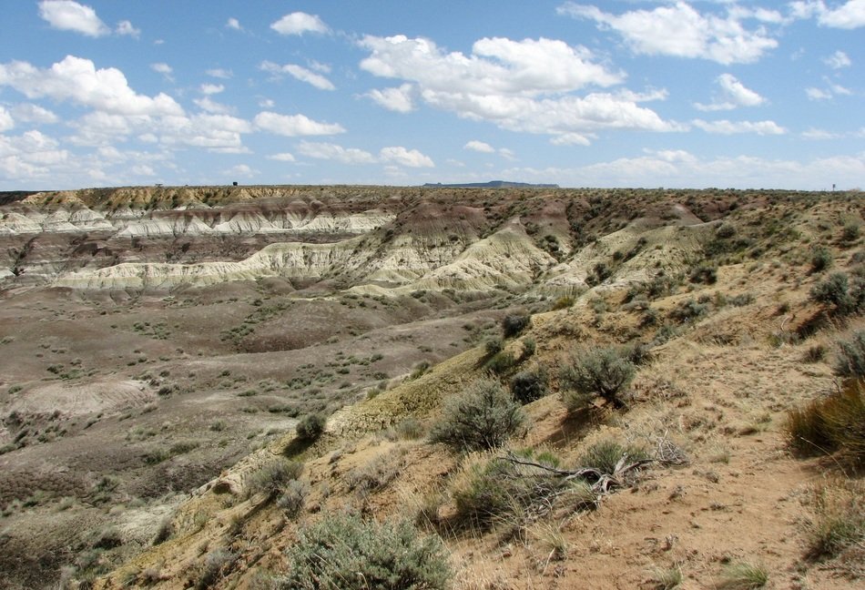 delicate and beautiful canyon