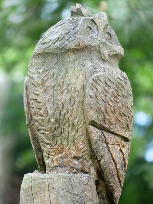Carving of the owl
