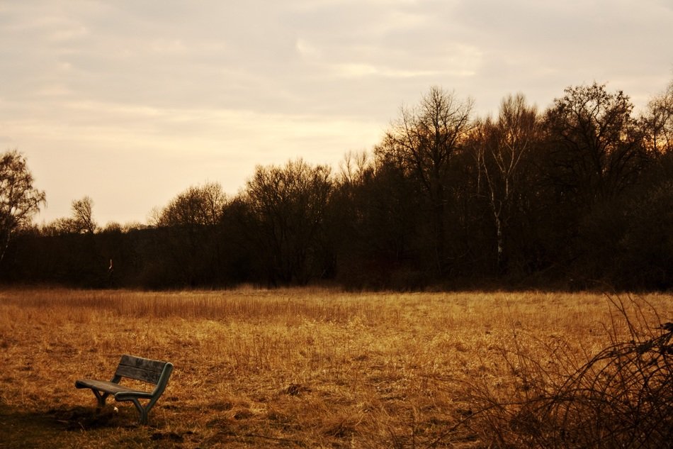 bench at twilight