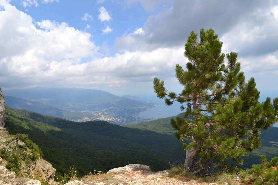 beautiful panorama of mountains in Yalta