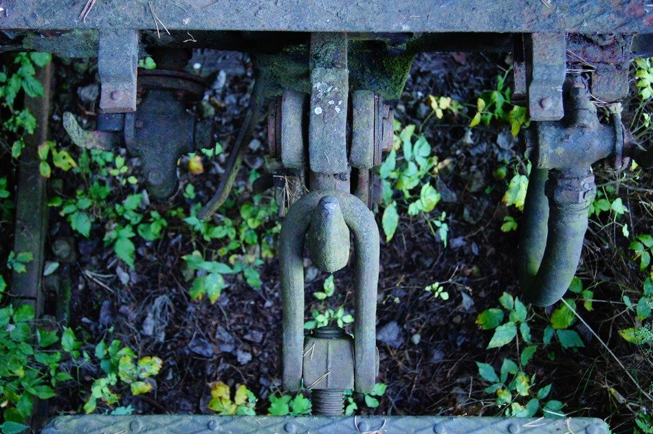 old rusted railway with colorful plants with leaves