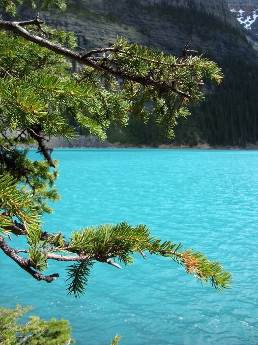 turquoise water of a pond in canada
