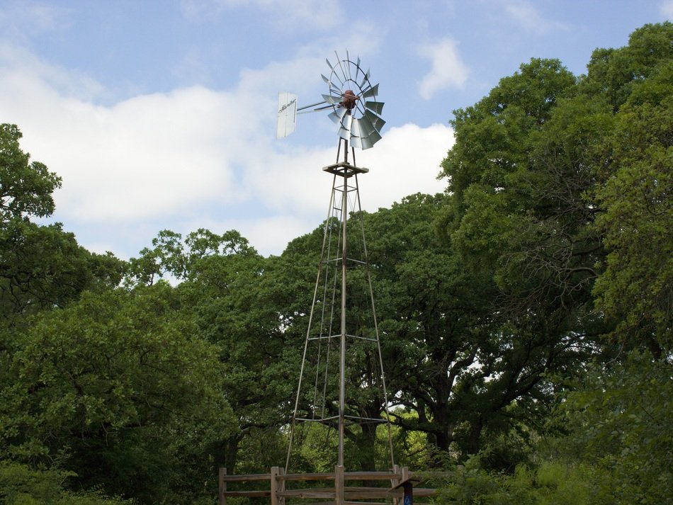 wind turbine above trees in countryside