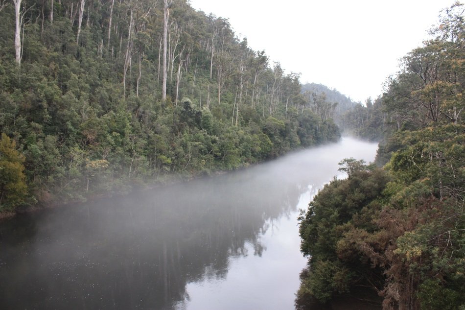 Beautiful landscape of a lake in mist in the forest