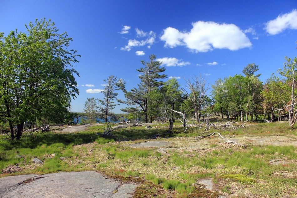 nature panorama at Wellesley island state park