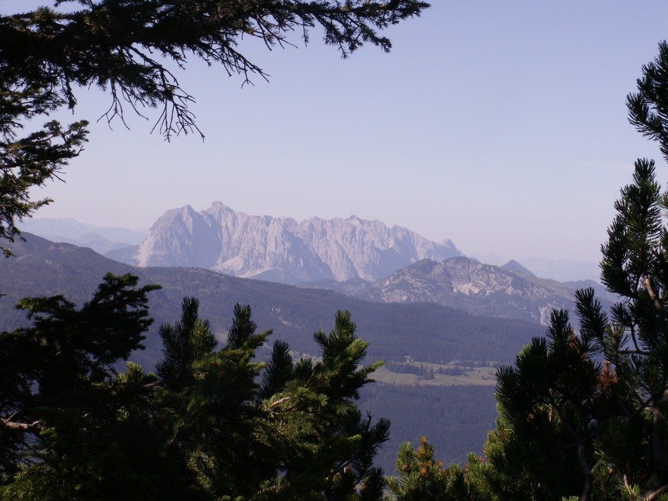 panorama of spring green trees on the background of powerful mountains