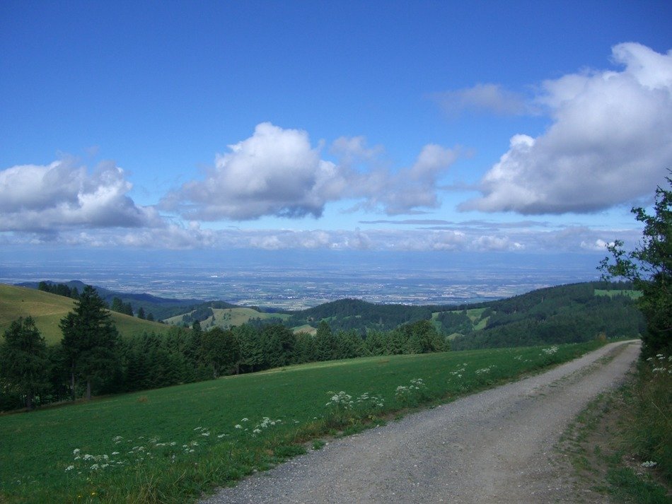 dirt road to the rhine valley