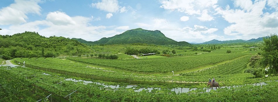 Beautiful panorama with green fields and mountains in Huahin, Thailand